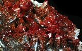 Huge Deep Red Vanadinite Crystal Cluster - Morocco #32361-1